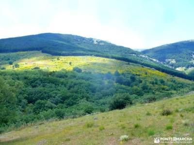 Chorro,Chorrera San Mamés_Valle del Lozoya;sierra norte de guadalajara las presillas rascafria foto